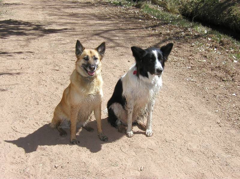 Click to return home